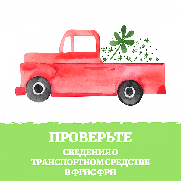 Правильность сведений о транспортном средстве в ФГИС ФРИ